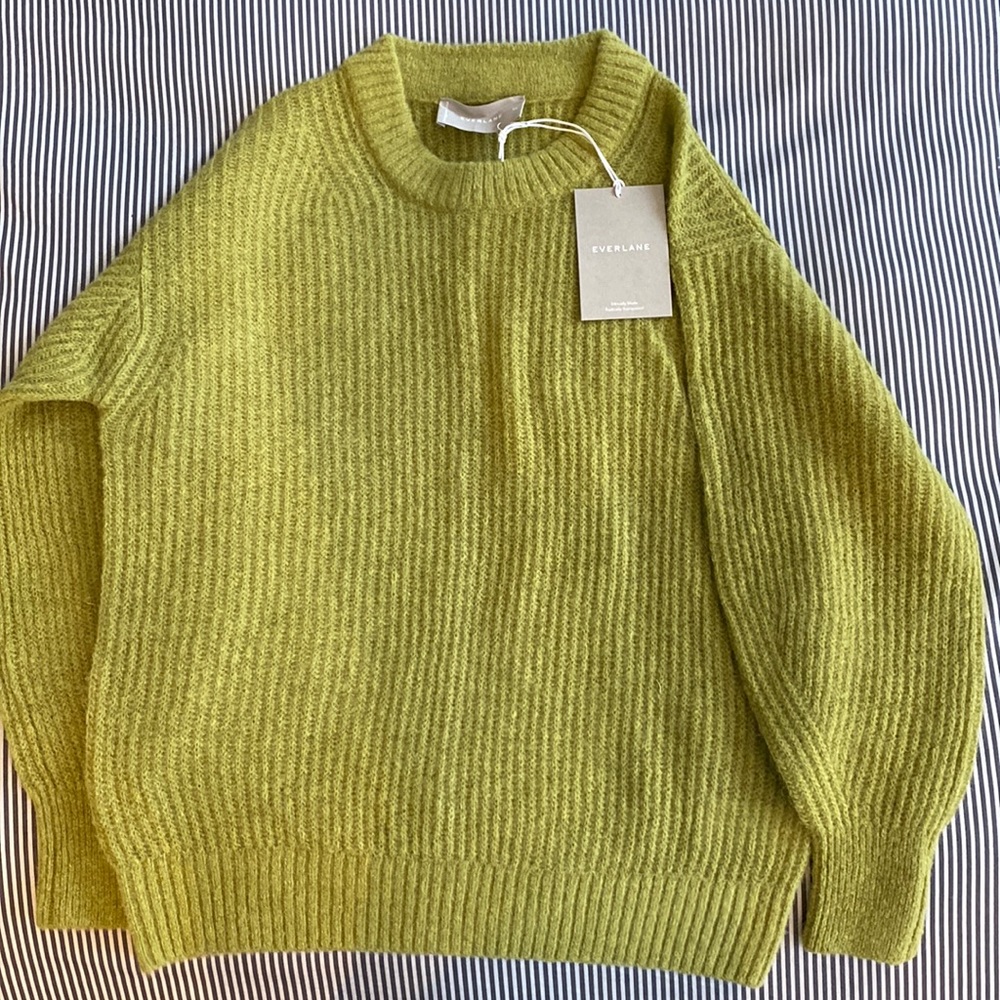 NWT everlane oversized alpaca crew sweater